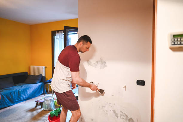 Best Crawl Space Mold Removal  in Red Oaks Mill, NY